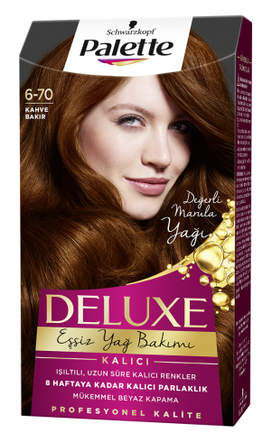 Palette Deluxe Saç Boyası 6-70 Kahve Bakır